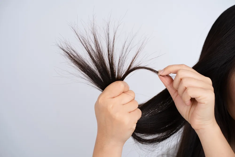 How to get rid of split ends effectively